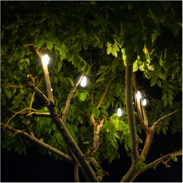"Italian Cafe" Solar Powered Vintage Edison Bulbs