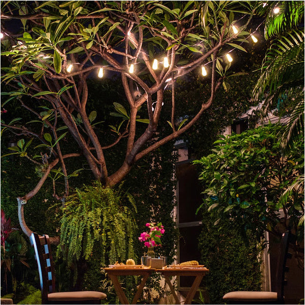 "Italian Cafe" Solar Powered Vintage Edison Bulbs