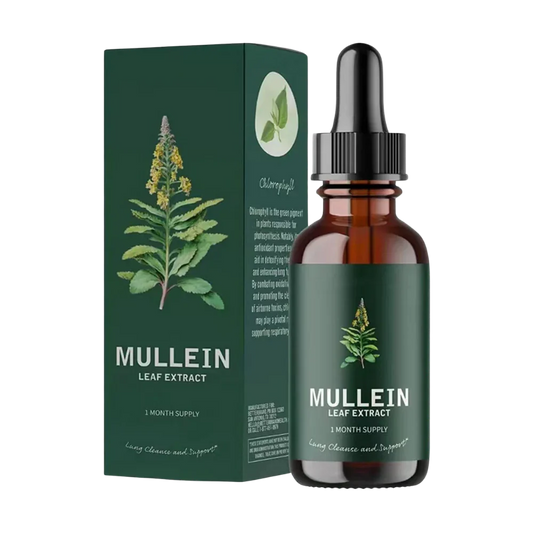 Gluten Free Mullein For Lung Health